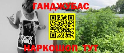 гашик Кинель