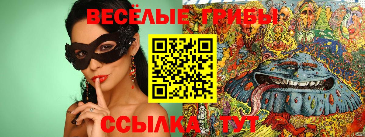 Псилоцибиновые грибы GOLDEN TEACHER Копейск